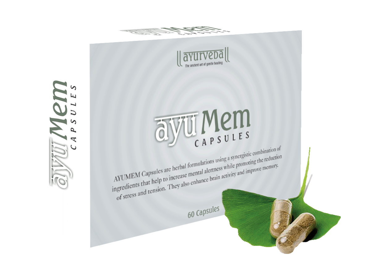 AYUMEM1